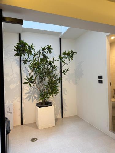 House 47 - image 6