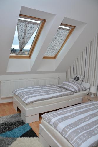 Apartmá Kateřina Velké Losiny - Apartment