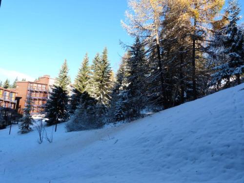 Residence Aiguille Grive Bat Iii - Appartement 2 pieces 6 personnes en duplex, skis aux pieds, dans  in Charmettoger