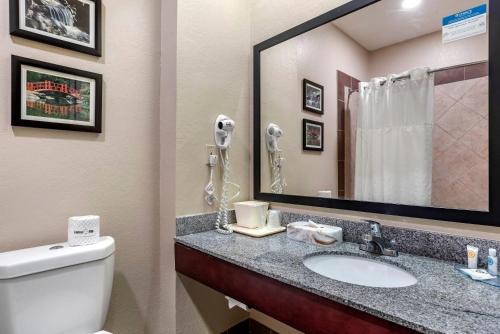 Comfort Inn Airport - image 16