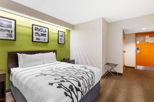 Sleep Inn at Greenville Convention Center - image 37