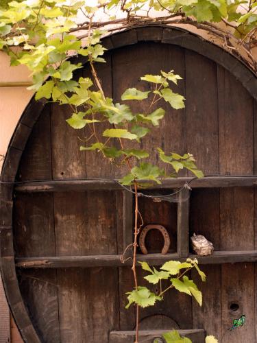A La Maison De Marie - image 3