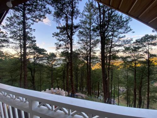 Beacon Hill Eco Park & Nature Lodge in Tuding