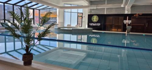 Apartament Erika Sinaia Cu Acces Zona Spa Contra Cost - Sinaia