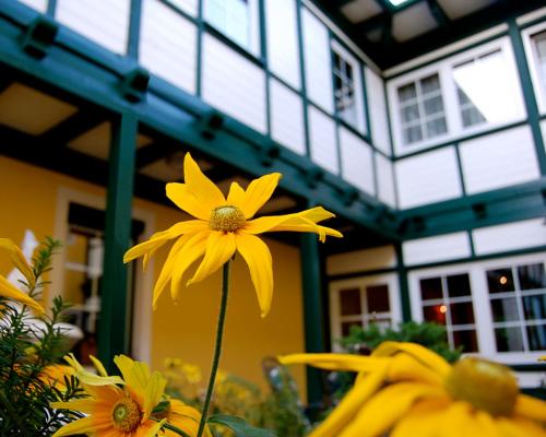 Frühstückshotel Jammernegg