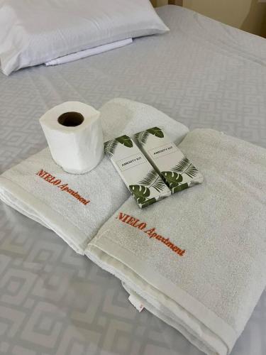 m² 3 guļamistaba, 2 privāta vannas istaba Māja Dapitan City
 (Nielo's Apartment (Door 5)) in Dapitan City