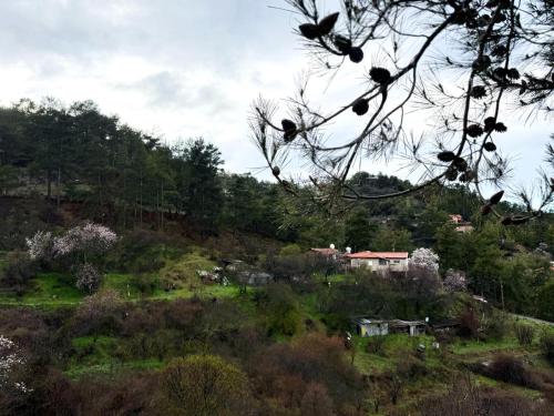 Η σπηλιά του Θουκυδίδη (Η σπηλια του Θουκυδιδη) in Spilija