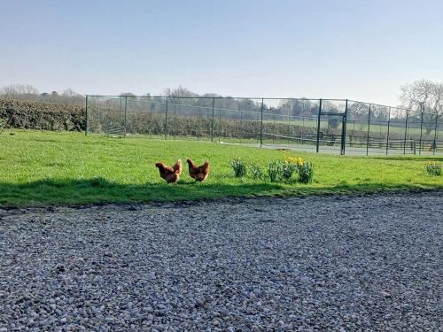 Iekārtas, 1 Bed in Market Rasen oc-73852 in East Barkwith