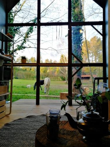 Green Box - be in nature with direct train to Porto in วาลองโก