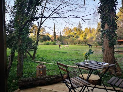 Green Box - be in nature with direct train to Porto in วาลองโก
