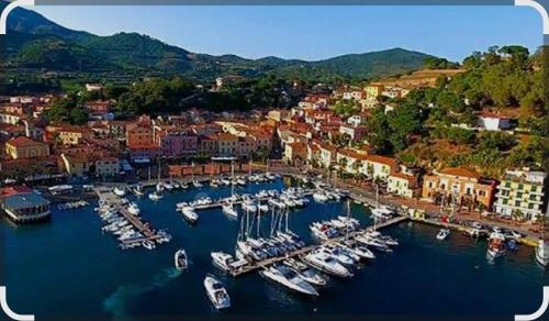 Trilocale Nicole con giardino Privato Isola D'Elba in Porto Azzurro