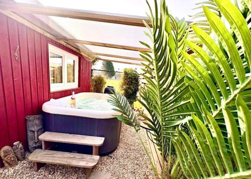 New Charming Scandinavian eco house with garden and jacuzzi in Boerhaavewijk