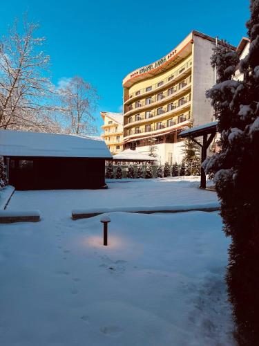 Jardín, Shiro Lodge in Predeal