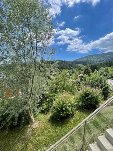 Les Bouvreuils, vue Alpes & Léman, jardin privé (Les Bouvreuils, vue Alpes & Leman, jardin prive) in Saint-Cergue