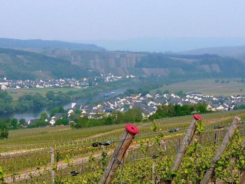 Apkārtne, Ferienwohnung "Im Weingarten" in Detzem