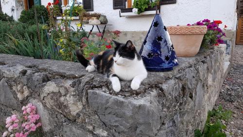 Biererhof in Rottau, Deutschland