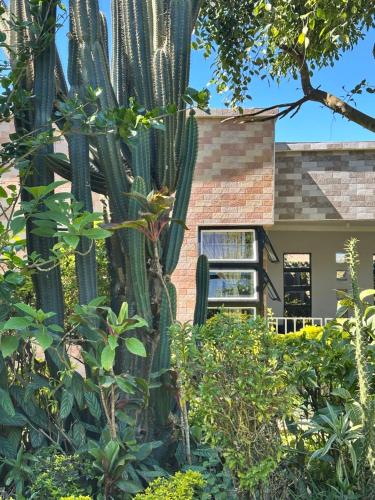 Cactus Village Hotel (Chigumula) - Deals, Photos & Reviews
