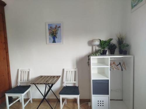 Treehouse - Spacious Private Rooms in Central Pisa Near Station & Airport 5