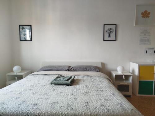 Treehouse - Spacious Private Rooms in Central Pisa Near Station & Airport, Pise (photo 10)