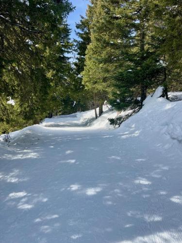 Studio au cœur de la nature proche Grenoble et stations de ski in Vaulnaveys-le-Bas