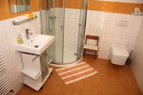 Pension Na Vyhlídce - image 13