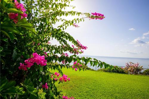 Panorama Beach - image 41