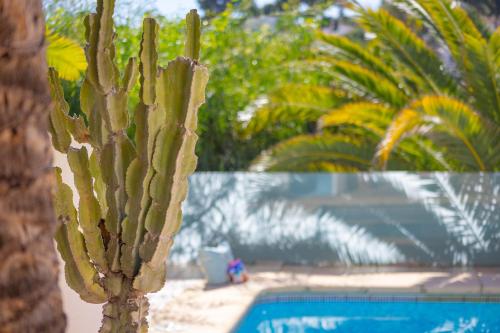 Villa Malibu - Plusholidays - image 8