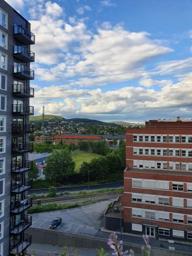 Double room, mountain view