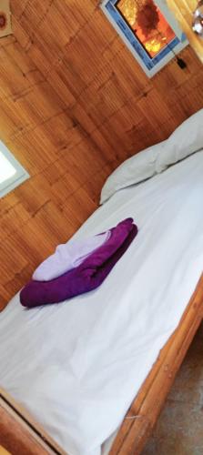 JUNGLE GYM LA UNION Prana fan kubo 2 pax, Bacnotan