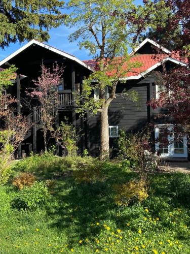 The Dandelion SV-Floret. B&B, Reimagined