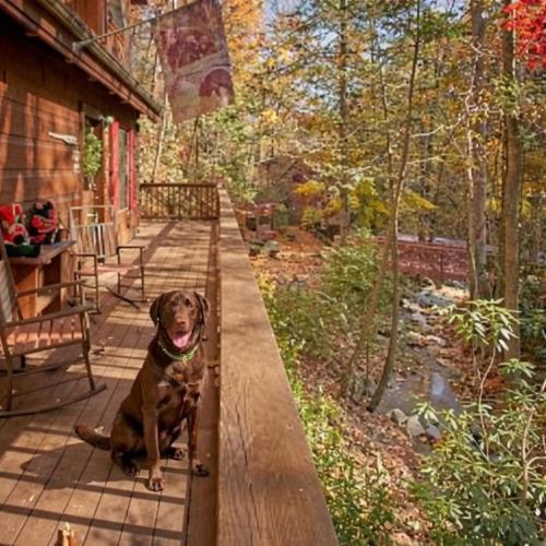 Cozy Creek Holiday home in Gatlinburg, USA