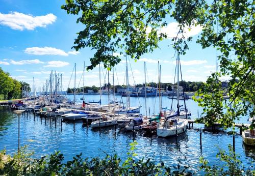 Charmantes Appartement am Hafen mit gratis Bettwäsche-Paket und Terrasse - image 3
