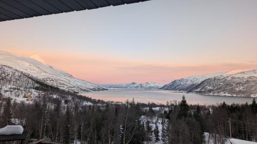Best view of Aurora Borealis in Kvaloysletta