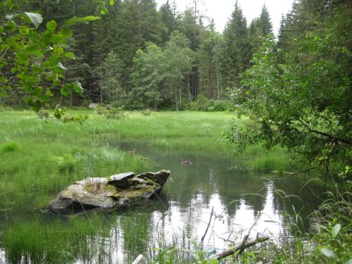 Almhütte Adlerhorst - image 12