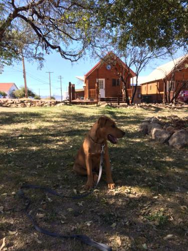 Katie's Cozy Cabins - image 16