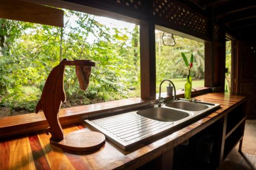 Dolphin Quest Jungle Lodge in 奧薩半島