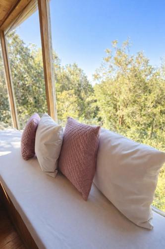 Cozy Cabin in Chiloé Wifi in Native Forest and Ocean View Retreat (Cozy Cabin in Chiloe Wifi in Native Forest and Ocean View Retreat) in Komuna De Kveilena