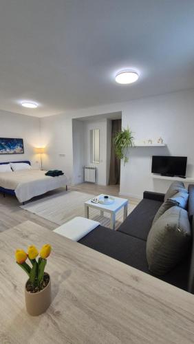 . Vedo apartment 3 Тячів
