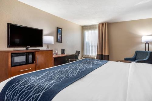 Comfort Inn Airport - image 41