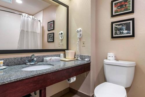 Comfort Inn Airport - image 38