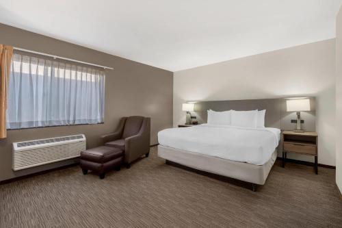 Comfort Inn Cockatoo Near LAX Airport - Accommodation - Hawthorne