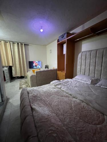 Studio Apartment in Ruiru
