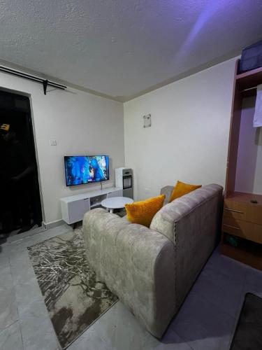Studio Apartment in Ruiru