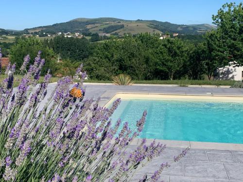 . Le cocon Laina Piscine & spa optionnel