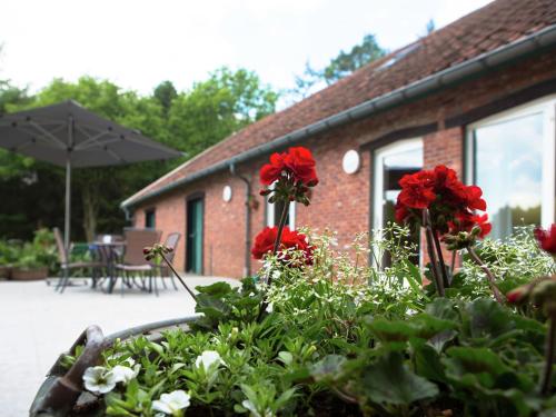  Quaint Holiday Home in Ravels with Garden in 2382 Poppel