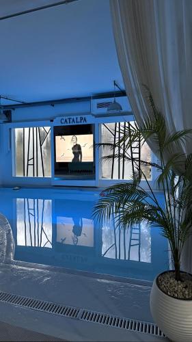 Piscina, Catalpa in Zahle