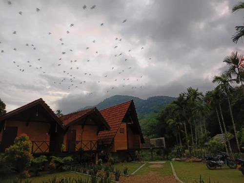 . Sinharaja Riverside