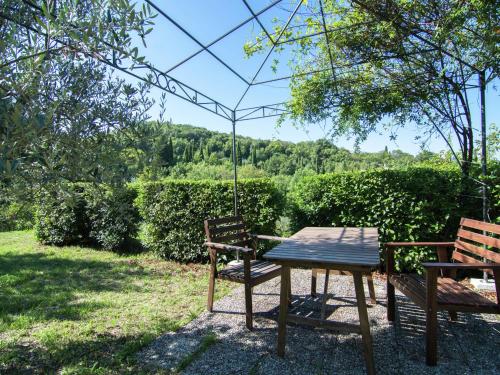 Lovely estate not far from Florence with olives trees