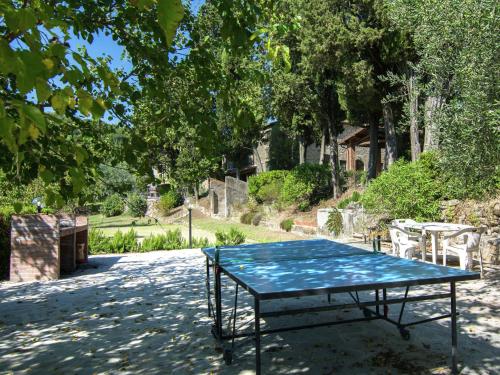 Lovely estate not far from Florence with olives trees