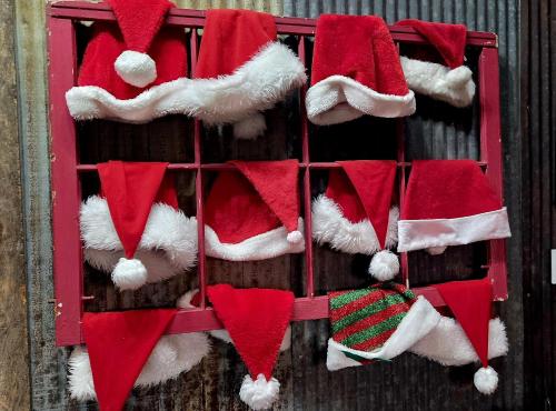 . Rural life on a real Christmas tree farm! Hallmark experience!